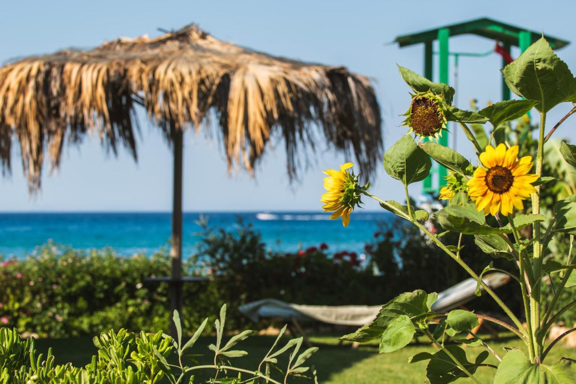 Garden Studios Аликес Экстерьер фото